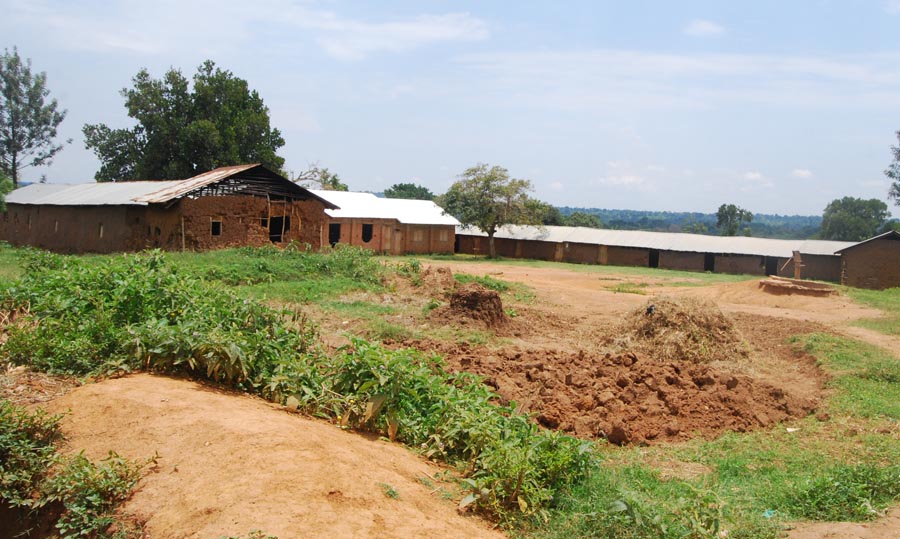 Nsoono Charity